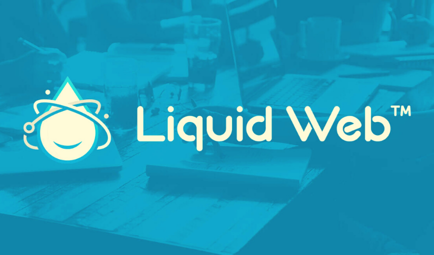 Liquid Web Hosting – Is It Worth the High Price?